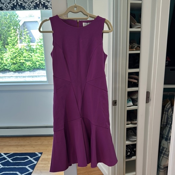 NWT Elegant Structured Purple Sleeveless Dress - Picture 1 of 6